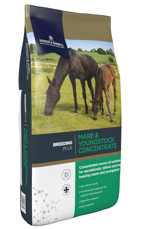 Mare & Youngstock Concentrate 20 kg