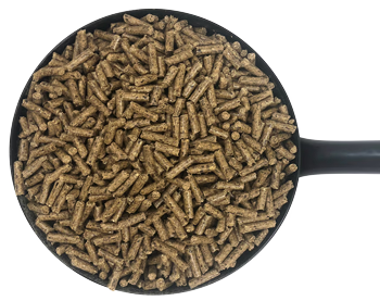 High Fibre Nuts 20 kg - 2