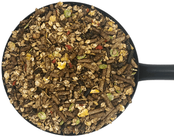 Sixteen Plus Mix 20 kg - 2