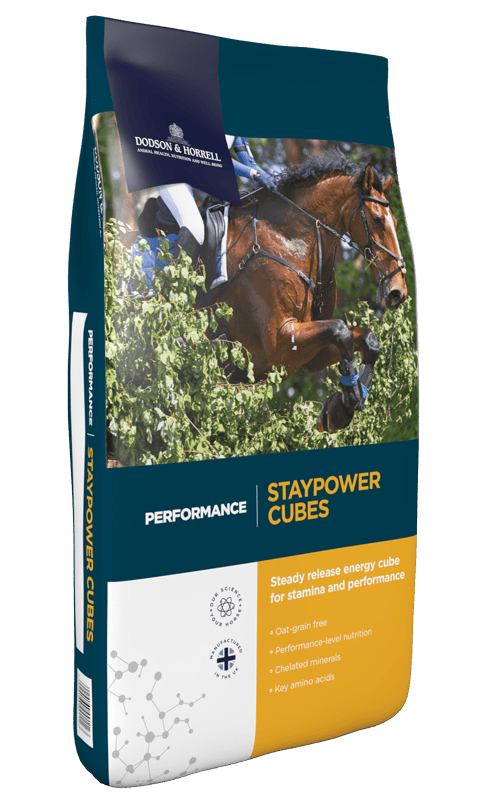 Staypower Cubes 20 kg