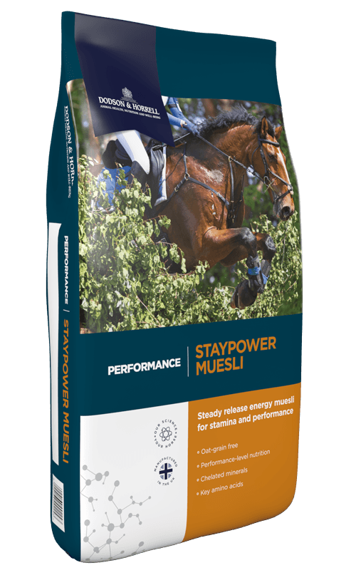 Staypower Muesli 20 kg