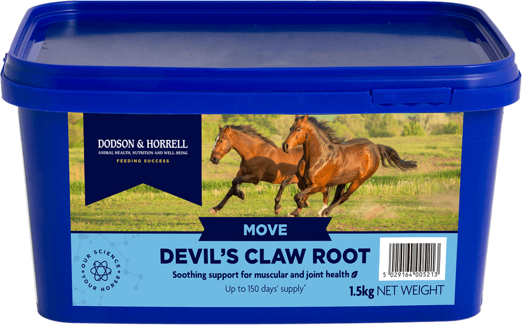 Devil's Claw Root Poeder - 3