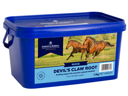Devil's Claw Root Poeder