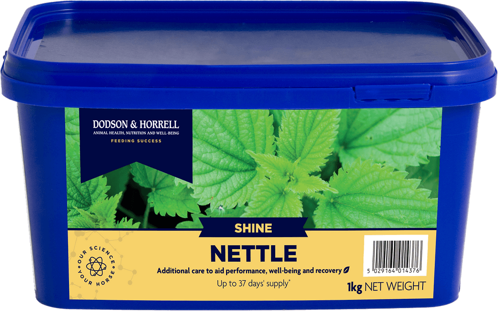Nettle - 3