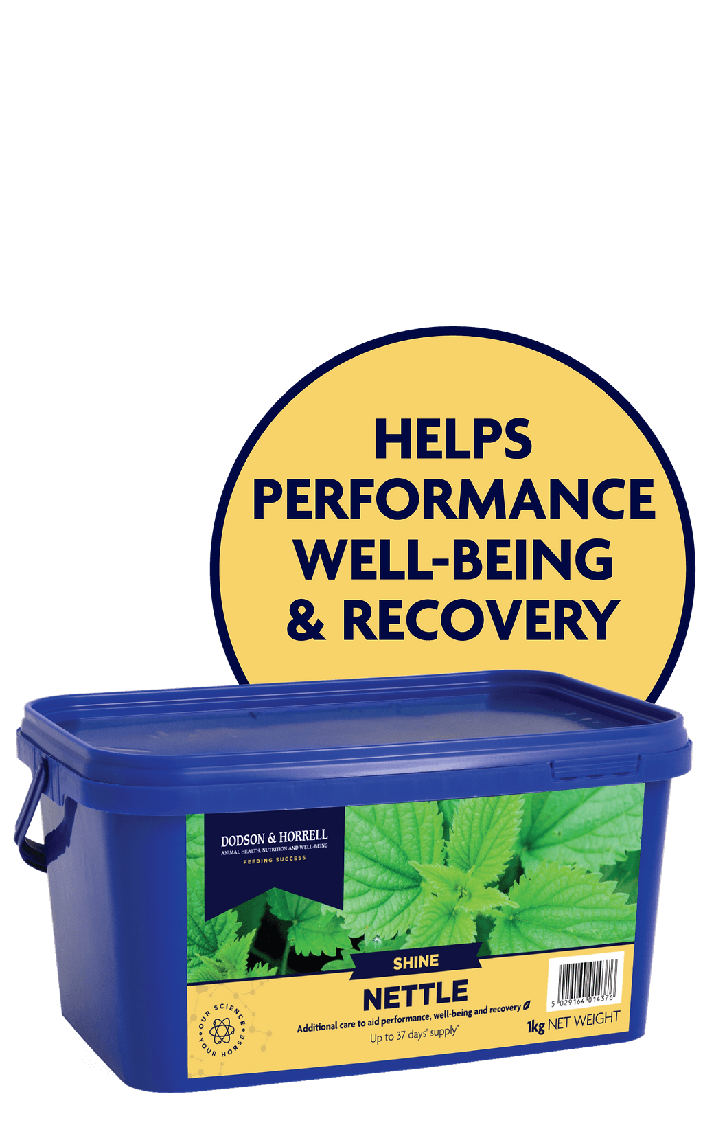 Nettle - 4