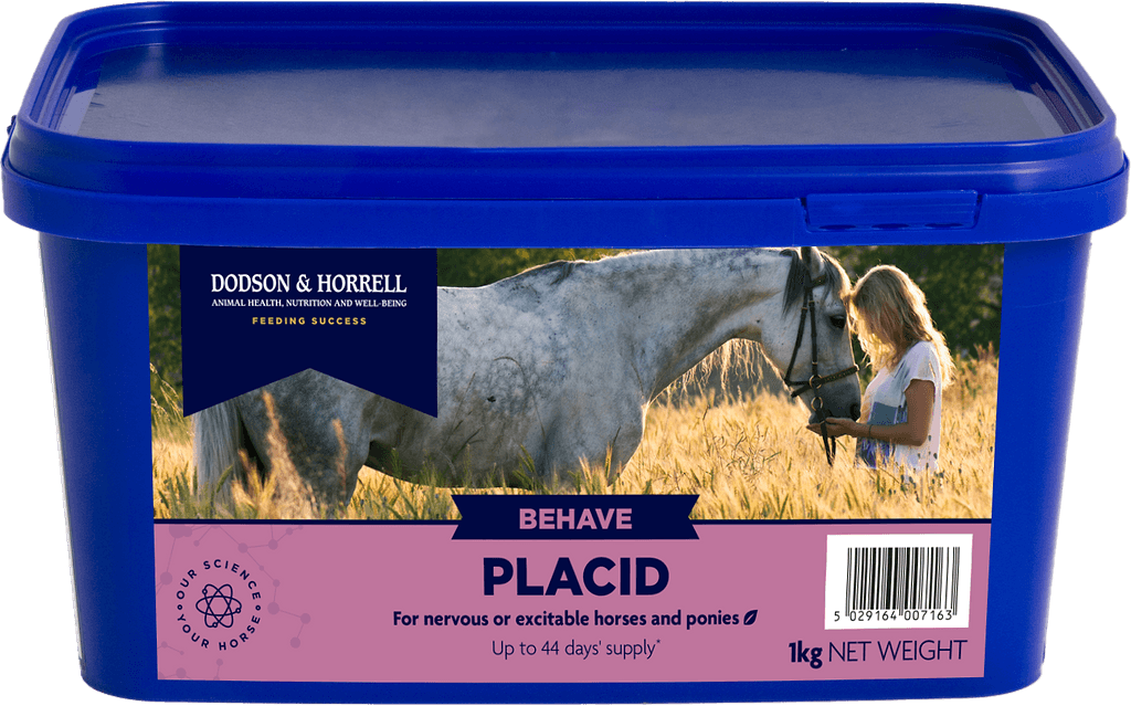 Placid - 3