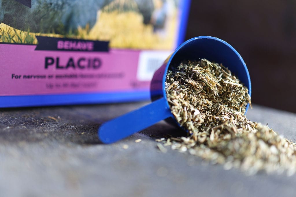 Placid - 7