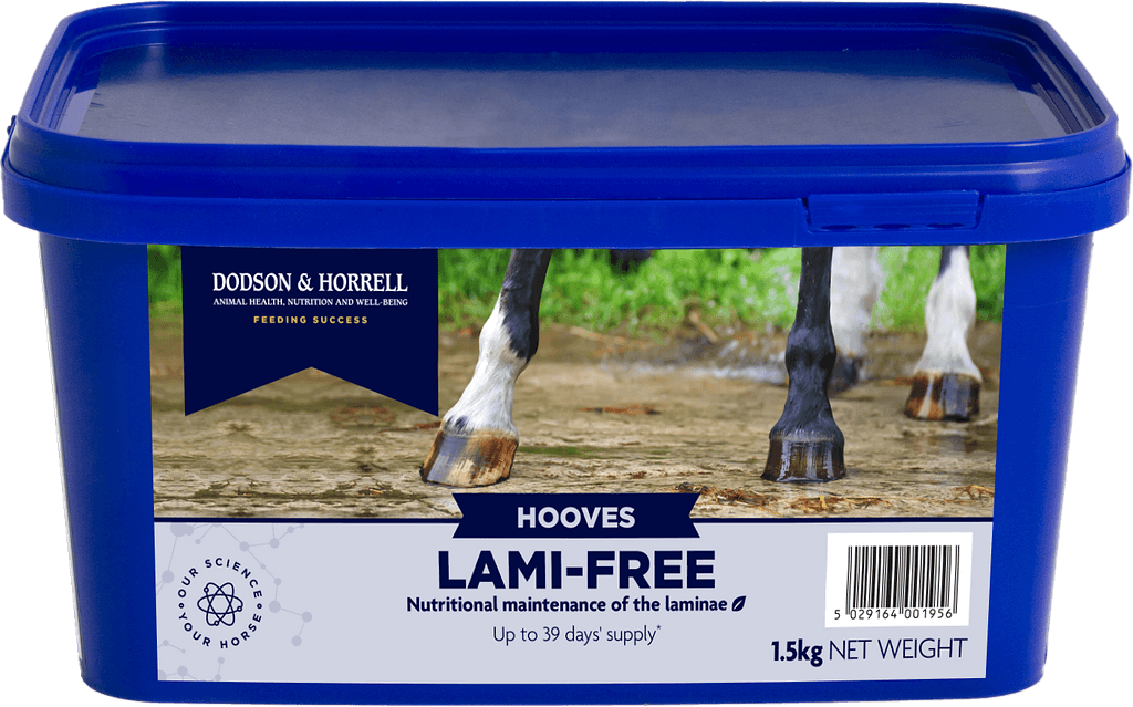 Lami-Free 1,5 kg - 3