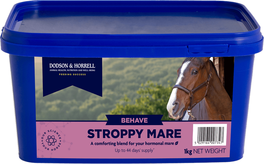 Stroppy Mare - 3