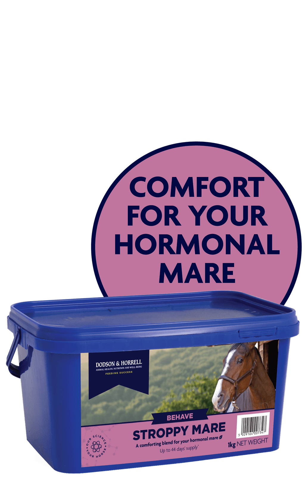 Stroppy Mare - 4