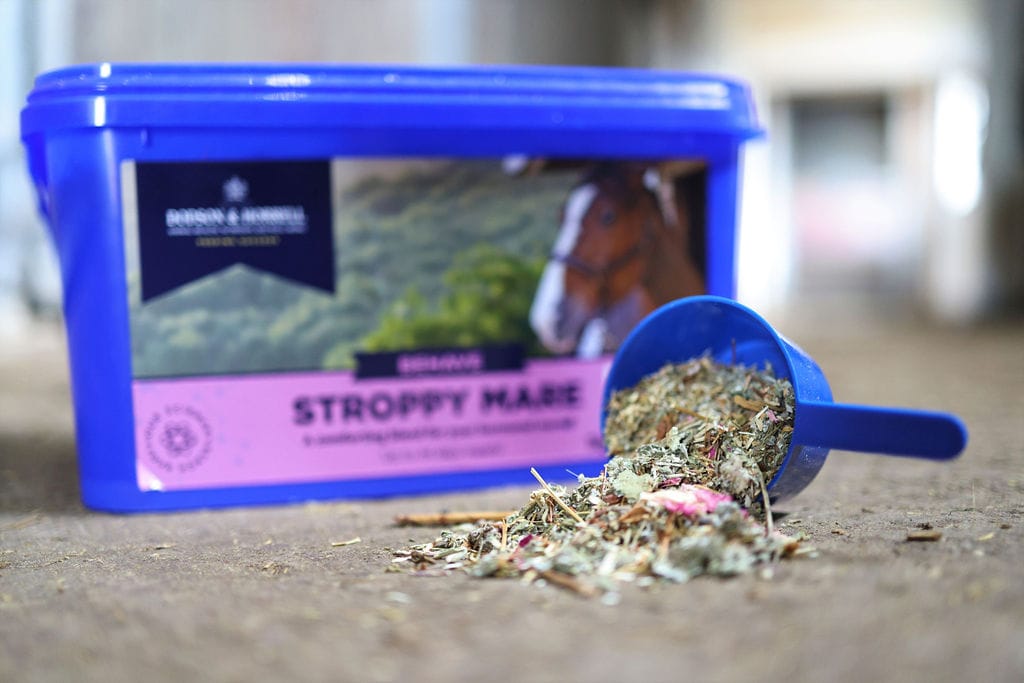 Stroppy Mare - 6