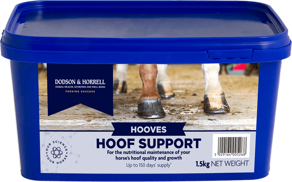 Hoof Support - 3