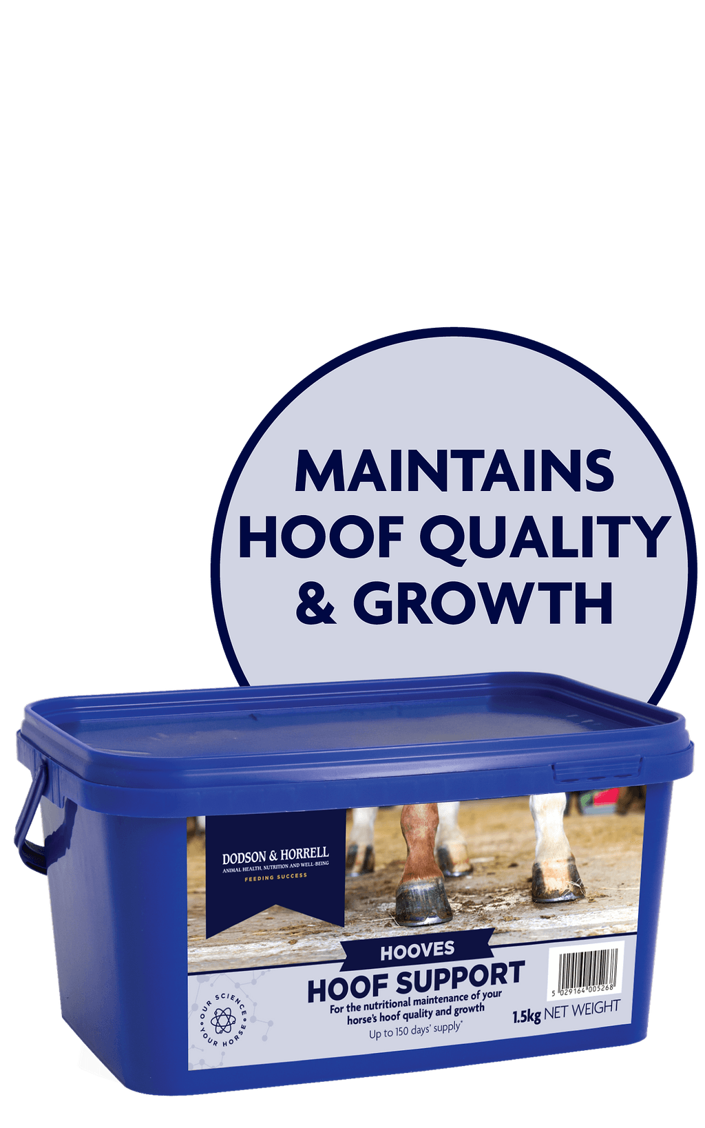 Hoof Support - 4