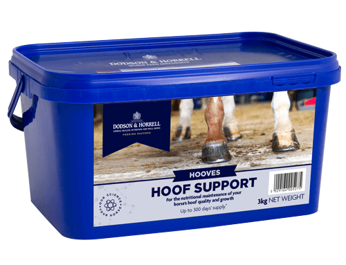 Hoof Support