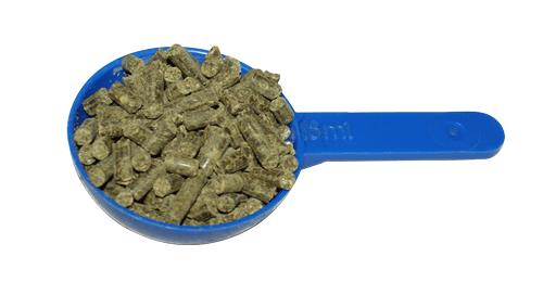 Hoof Support - 2