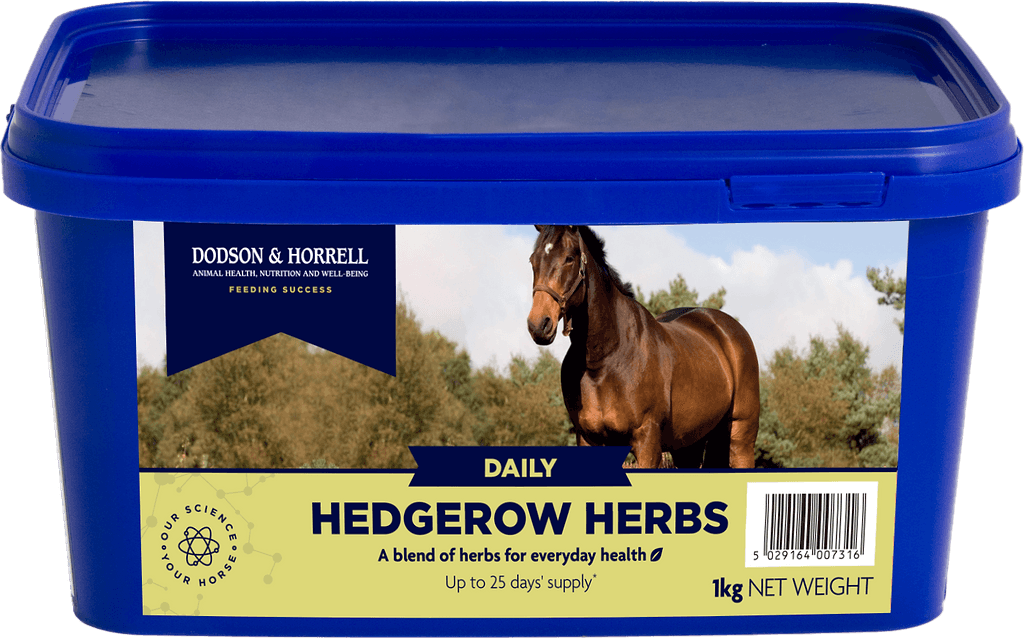 Hedgerow Herbs - 3