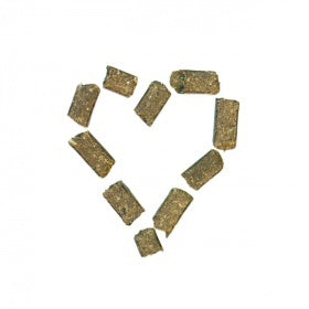 WiesenBussi - 2