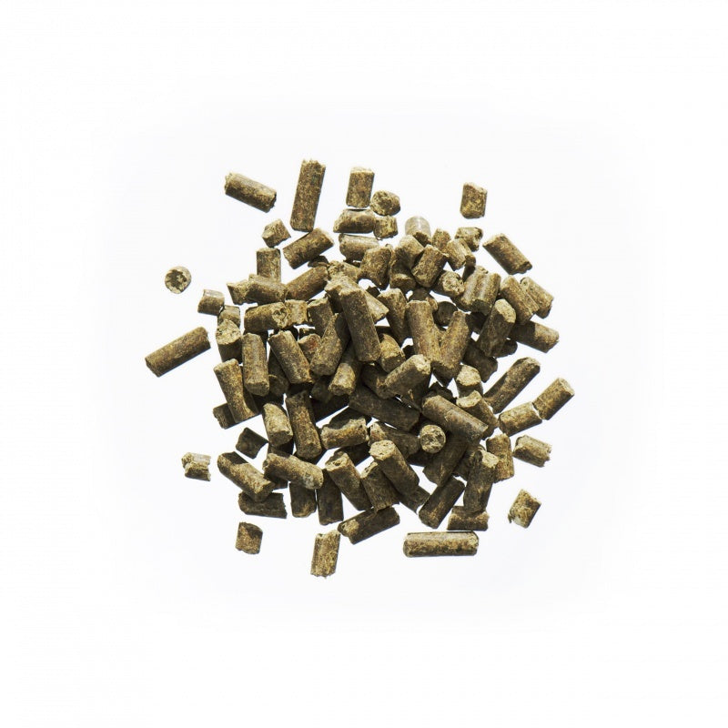 SeniorMineral - 2