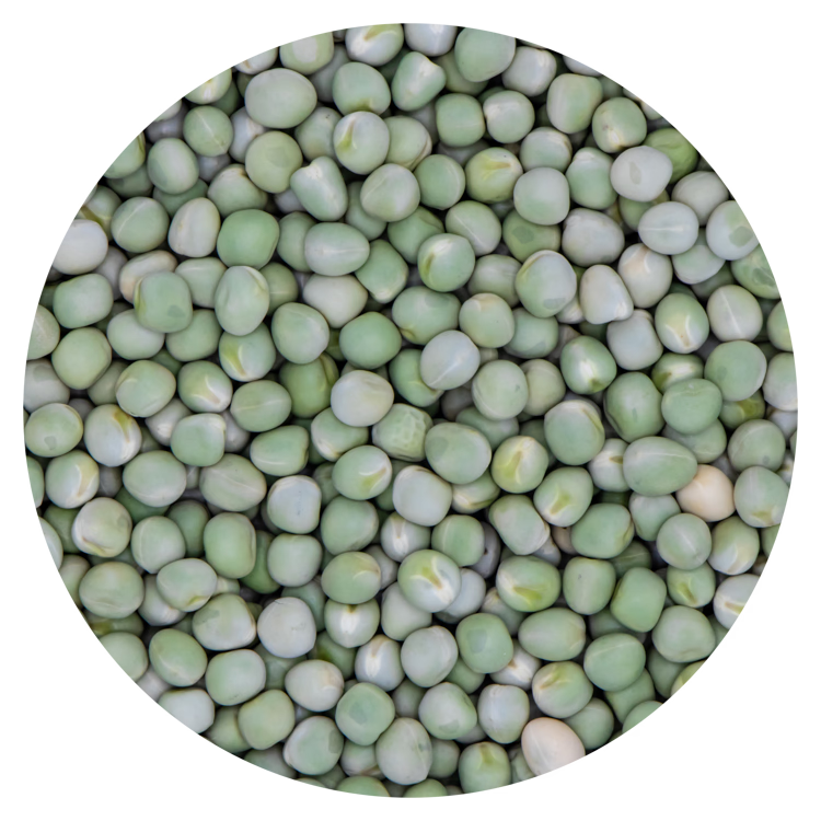 Erwten groen