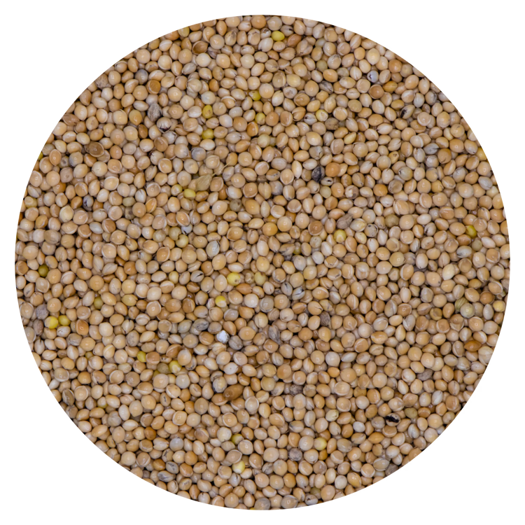 Millet wit