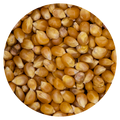 Maïs - Popcorn "consumptie"