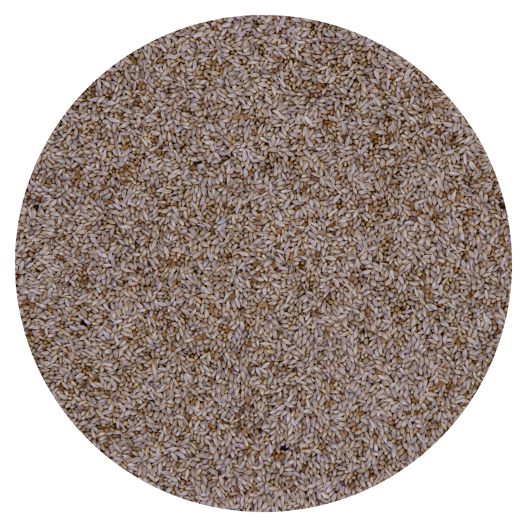 Floralia Foniopaddy 1 kg