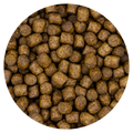 Puppy Krokant 20 kg