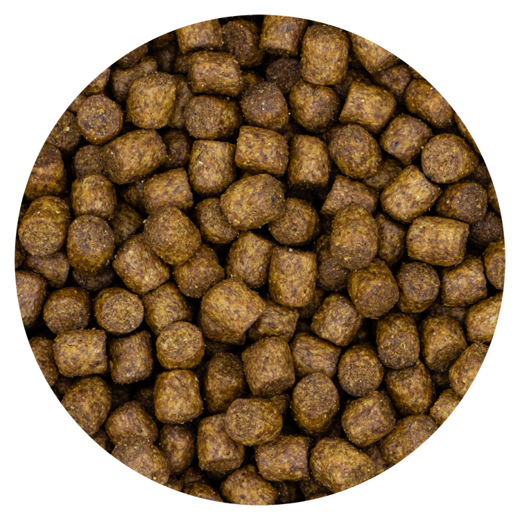 Puppy Krokant 20 kg