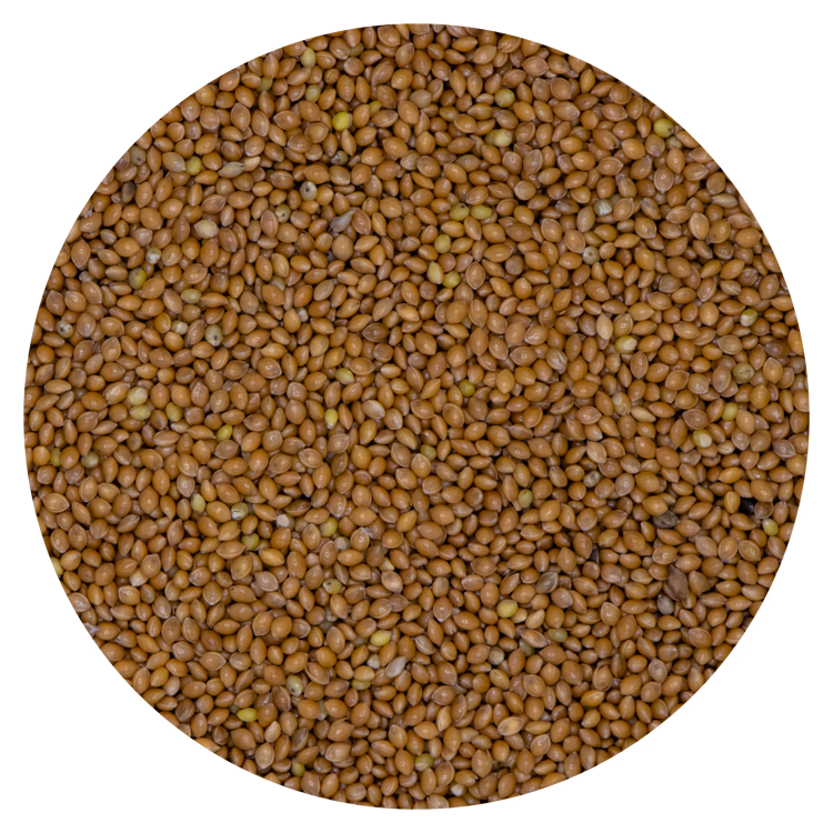 Millet geel