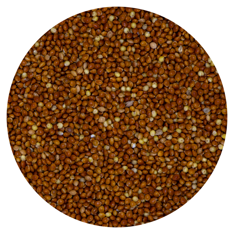 Millet rood