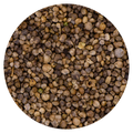 Spinaziezaad 20 kg