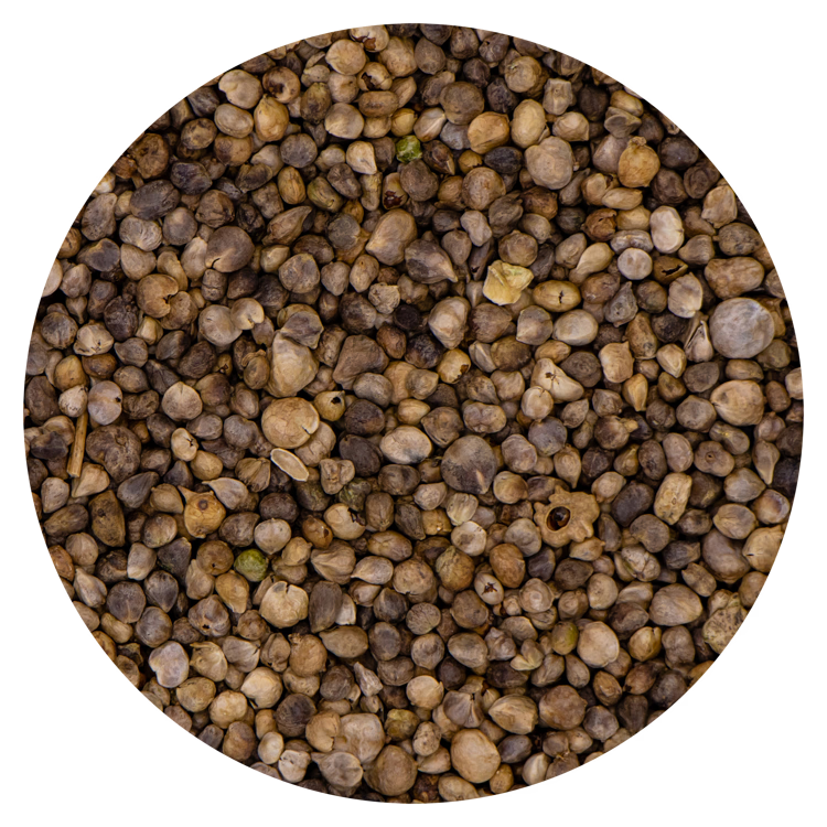 Spinaziezaad 20 kg