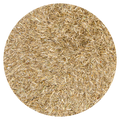 Graszaad