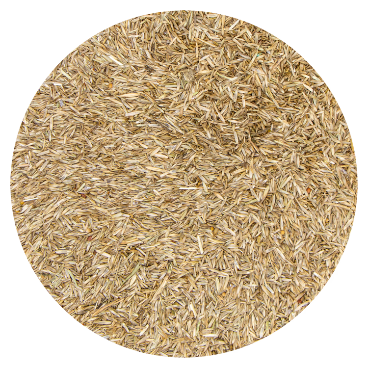 Graszaad