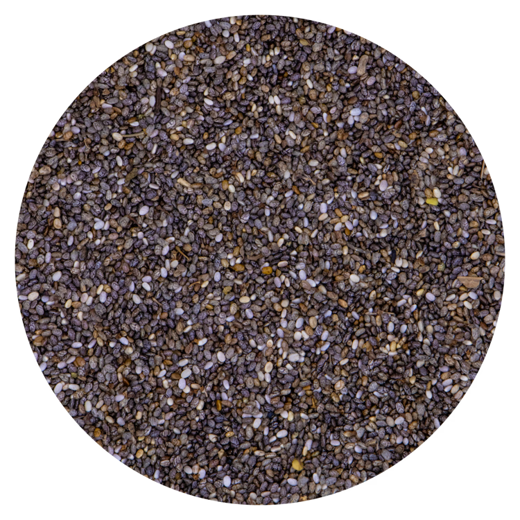 Salvia Hispanica - chia