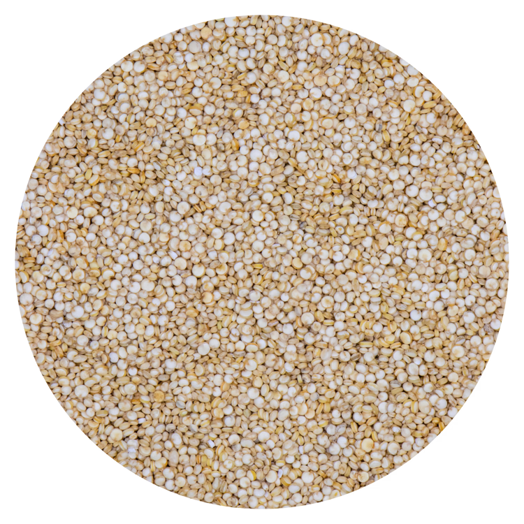 Quinoa 25 kg