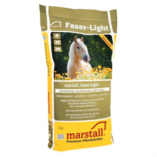 Faser Light