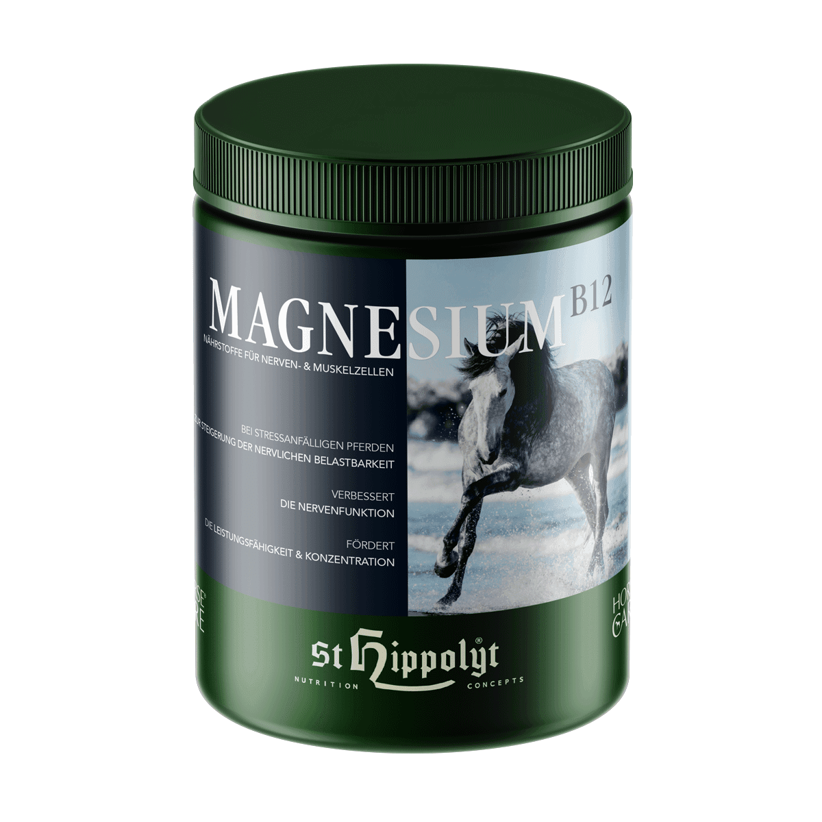 Magnesium B12