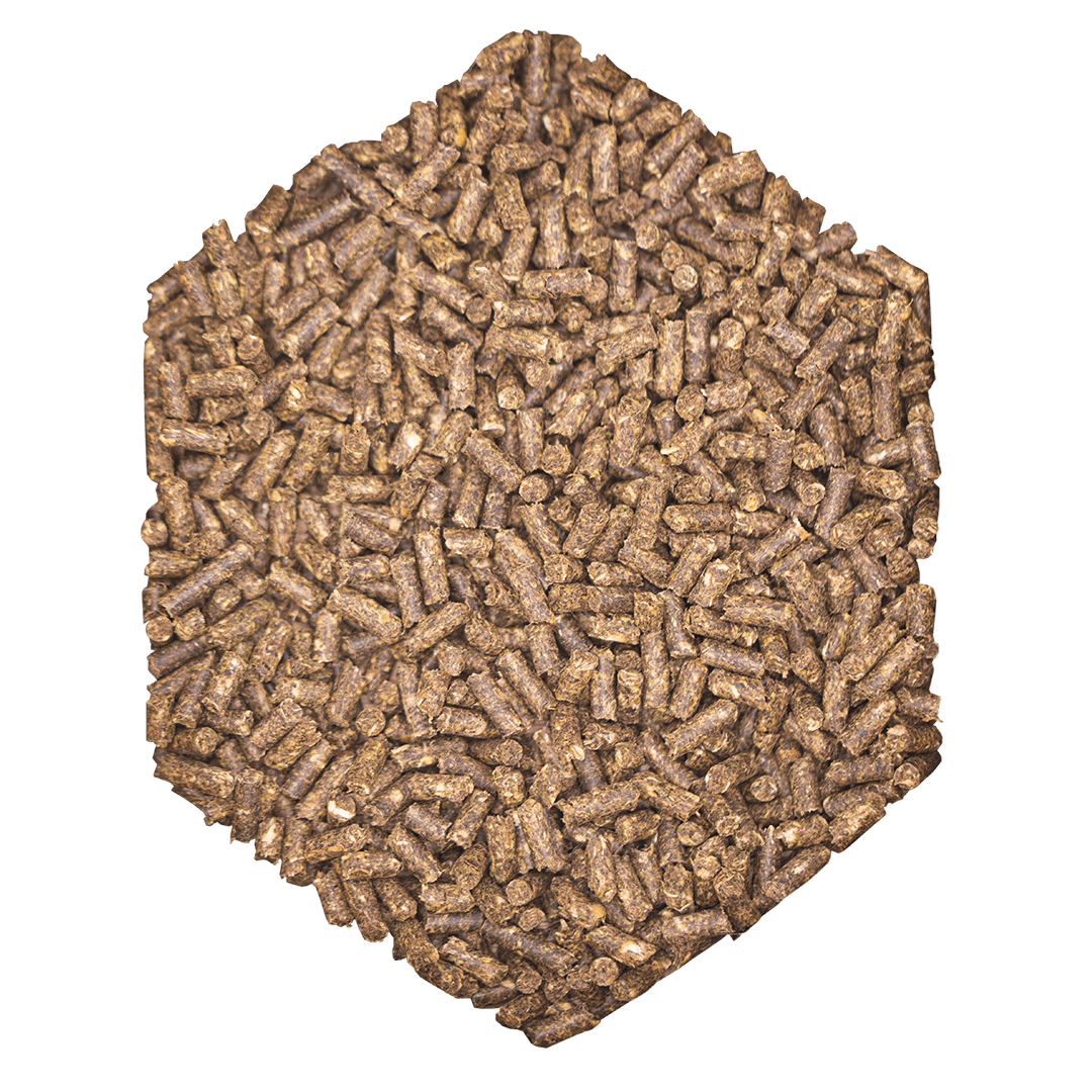 WES Basic Crunch Pellet 25 kg - 2