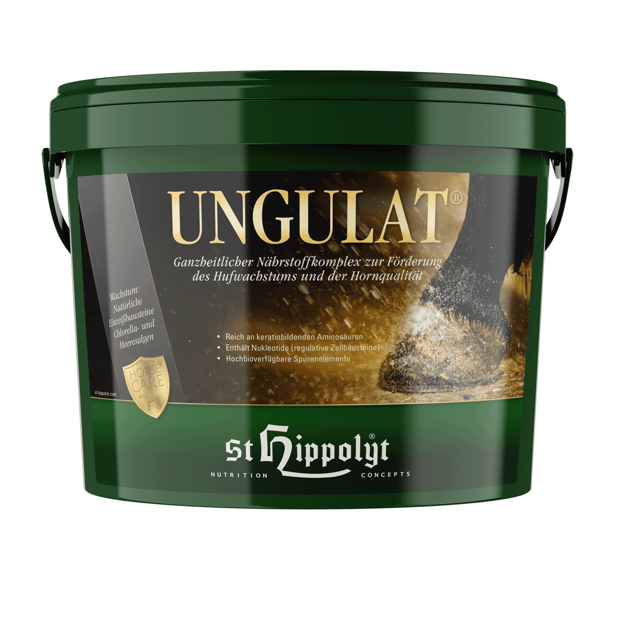 Ungulat Hufkur - 3