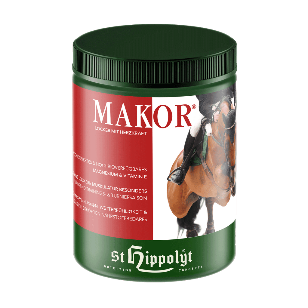 Makor