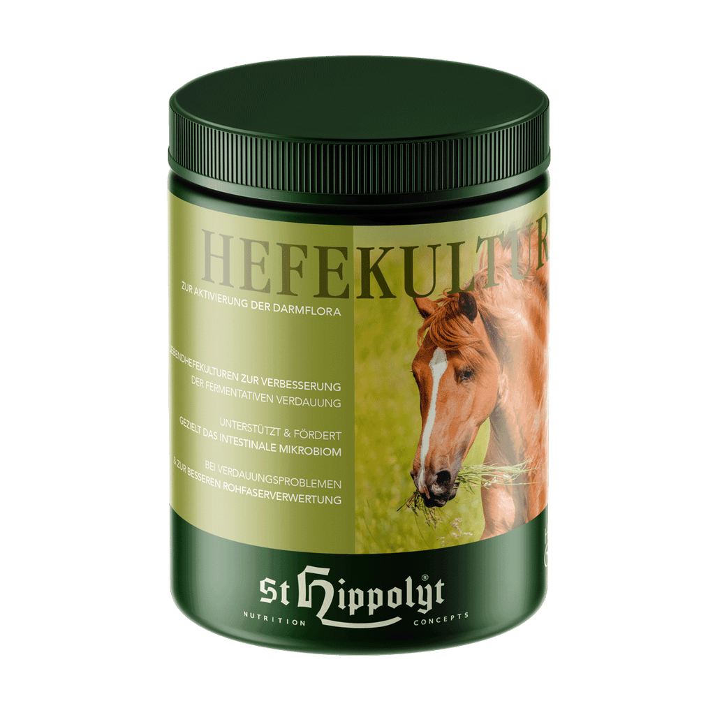 HefeKultur