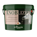 Knoblizem