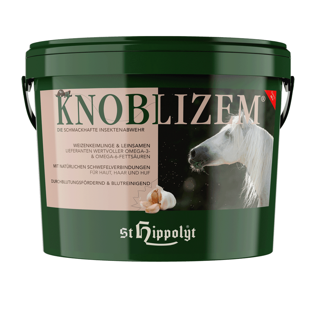 Knoblizem - 2