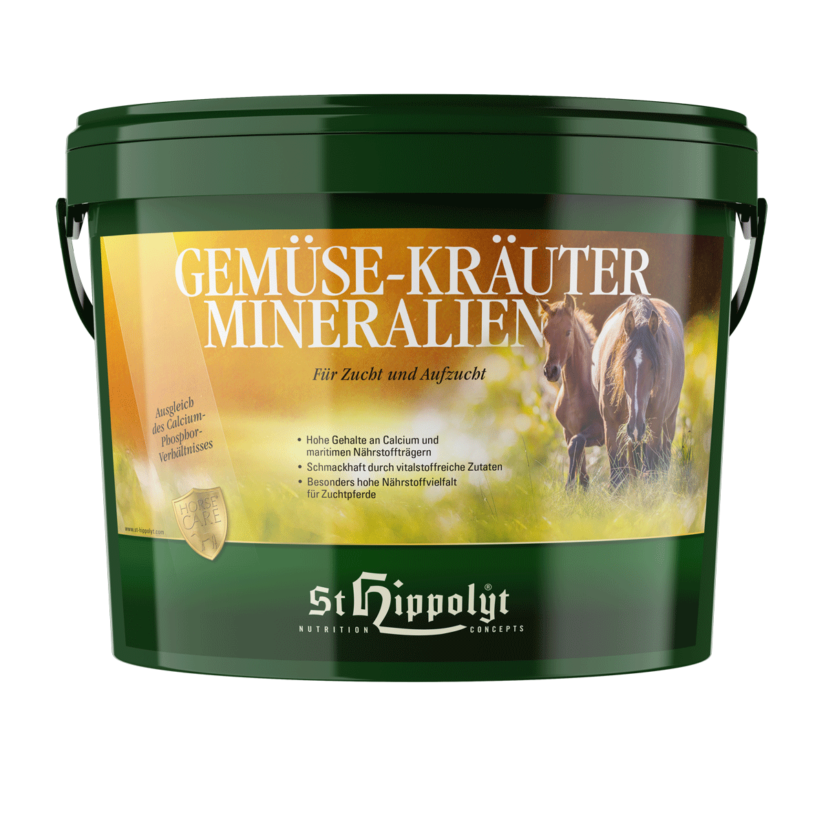 Gemüse-Kräuter-Mineralien