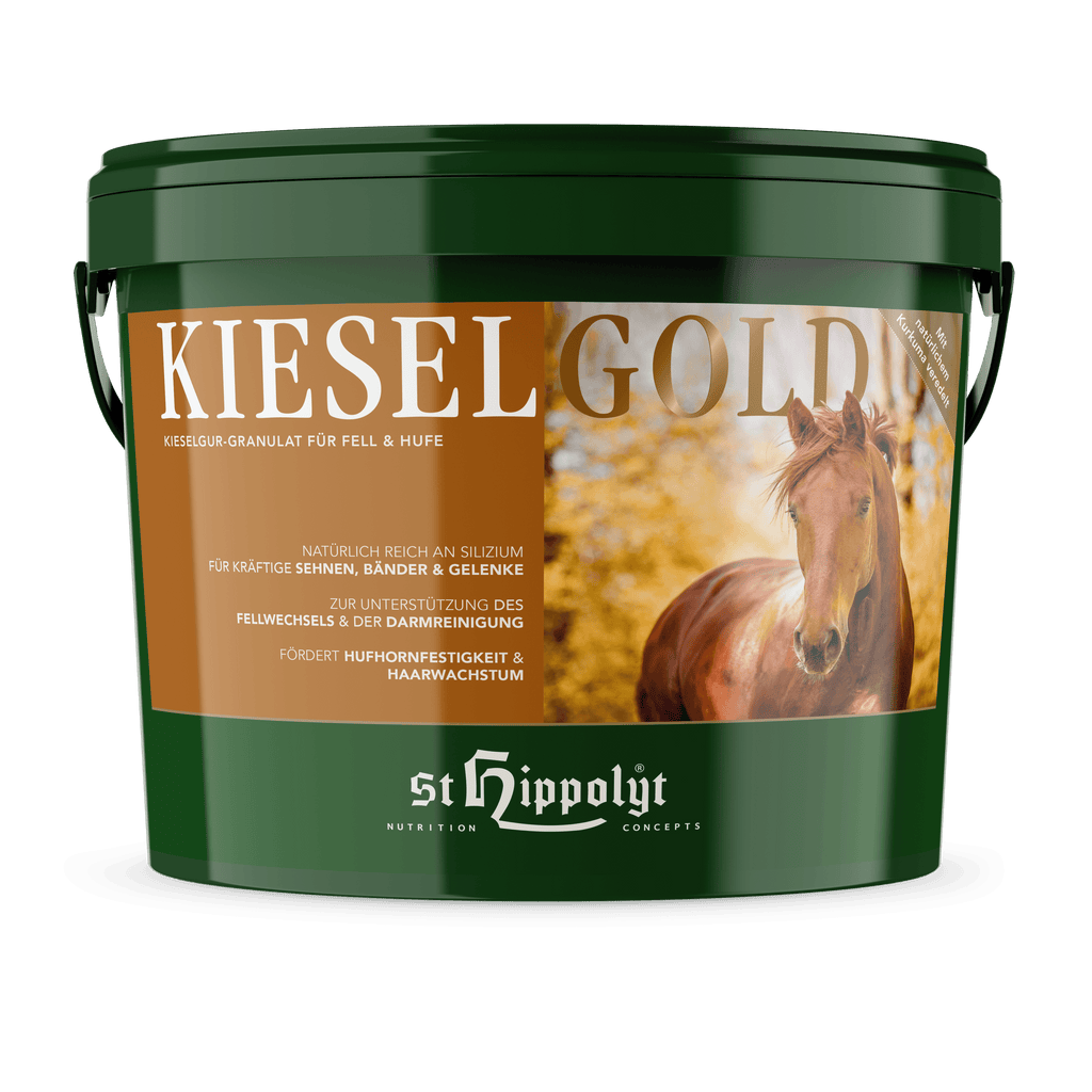 Kieselgold