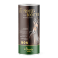 WES Protein Booster 750 g