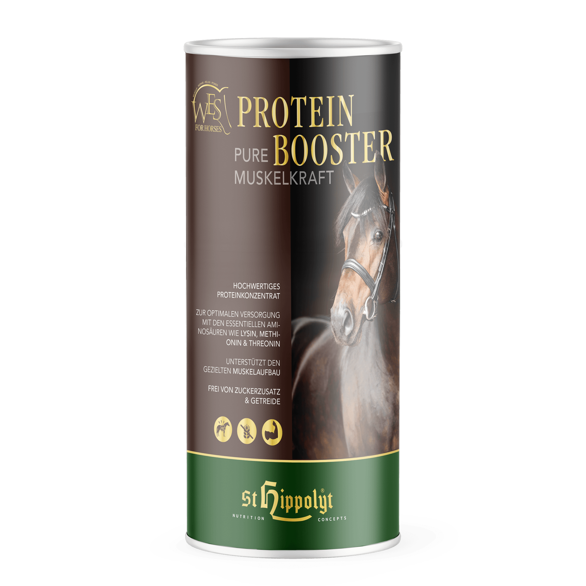 WES Protein Booster 750 g