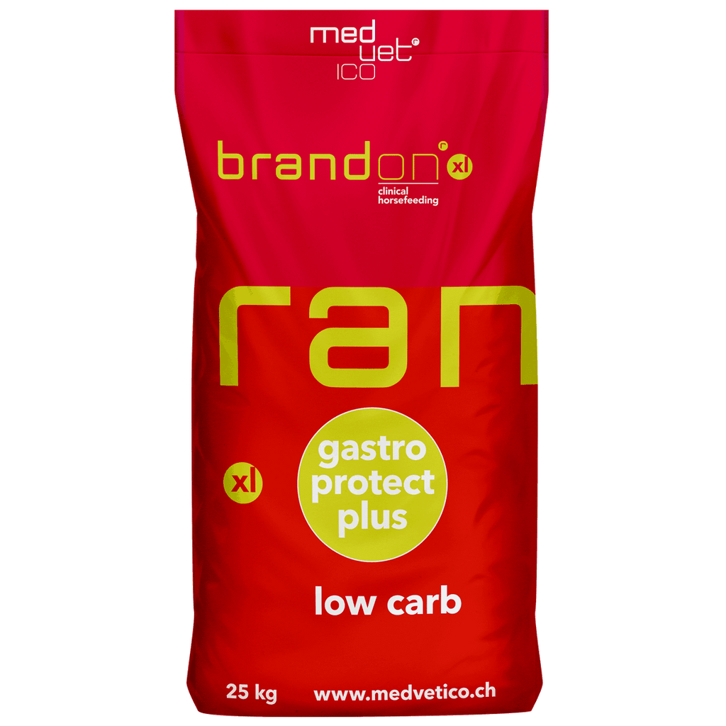 Medvetico Brandon XL "Low Carb" 25 kg