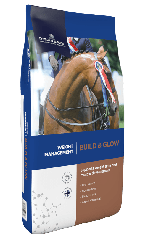 Build & Glow 20 kg